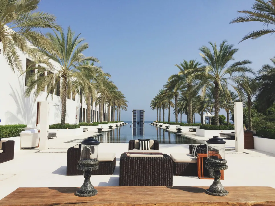 Palm-lined resort pool by the sea